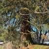 11 b Rund um Ellwangen